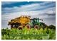 Thumbnail-13