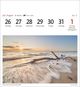Thumbnail-11