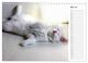 Thumbnail-10