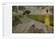 Thumbnail-9