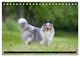 Thumbnail-11
