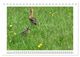 Thumbnail-11