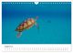Thumbnail-13