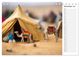 Thumbnail-11