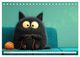 Thumbnail-11