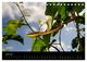 Thumbnail-8