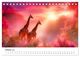 Thumbnail-12