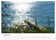 Thumbnail-12