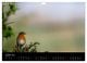 Thumbnail-12