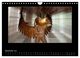 Thumbnail-14