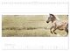 Thumbnail-14