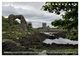 Thumbnail-12