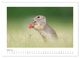Thumbnail-9