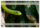 Thumbnail-11