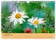 Thumbnail-14