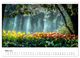 Thumbnail-8