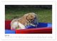 Thumbnail-11