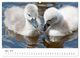 Thumbnail-9