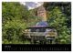 Thumbnail-8
