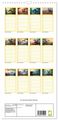 Thumbnail-7