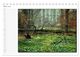 Thumbnail-8