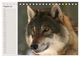 Thumbnail-13