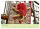 Thumbnail-12