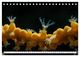 Thumbnail-14