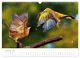 Thumbnail-12