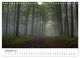 Thumbnail-13