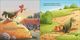 Thumbnail-8