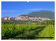 Thumbnail-13