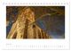 Thumbnail-8