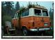 Thumbnail-13
