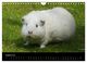 Thumbnail-10