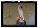 Thumbnail-10