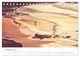 Thumbnail-14