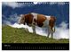 Thumbnail-10