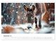 Thumbnail-13