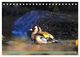 Thumbnail-11