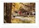 Thumbnail-14