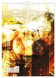 Thumbnail-14