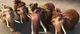 Thumbnail-11