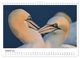 Thumbnail-12