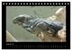 Thumbnail-10