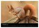 Thumbnail-12