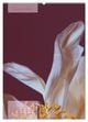 Thumbnail-7
