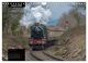 Thumbnail-13