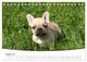 Thumbnail-9