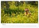 Thumbnail-10